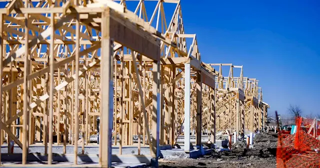 Builders’ dilemma: ‘We can’t just have a market where only Californians can afford it’