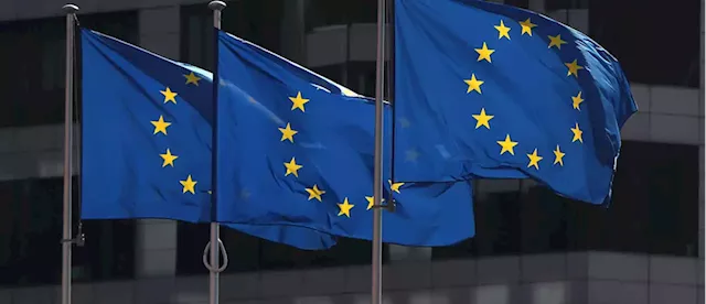 EU delegation, executives brainstorm Nigeria's business environment