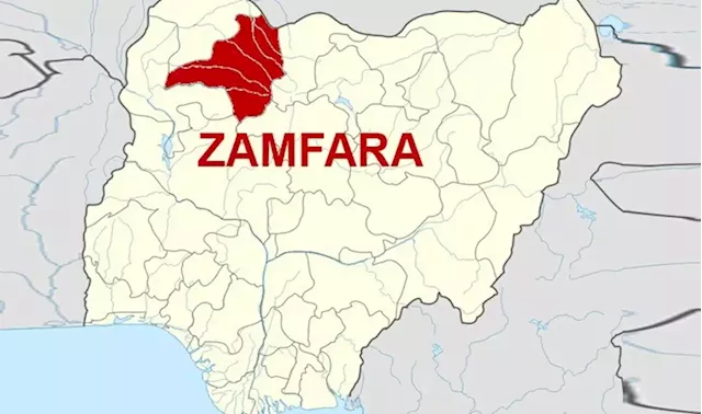 Terrorists abduct Zamfara finance director's wife, two children - Punch Newspapers