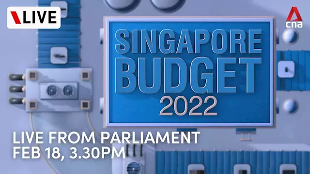 LIVE: Singapore Budget 2022 statement delivered by Finance Minister Lawrence Wong