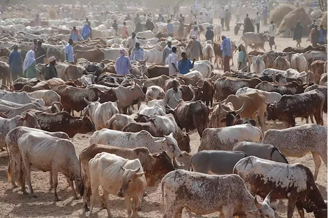 Attack On Abia Cattle Market Where Eight Died, Unacceptable — Northern groups