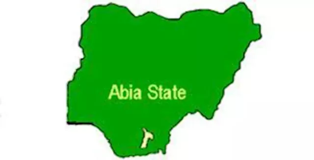 Abia govt confirms gunmen attack on cattle market - Punch Newspapers