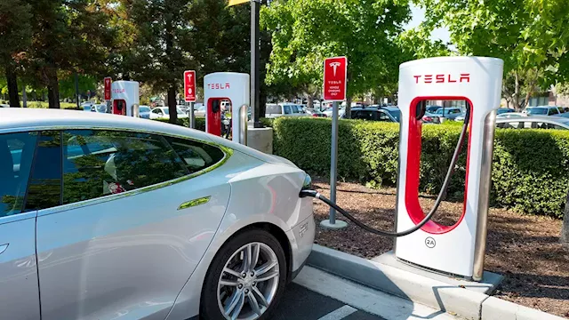 Energy expert: Companies, markets should dictate electric car switch, not government plans