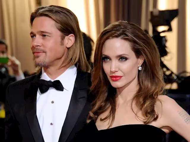 Brad Pitt sues ex-wife Angelina Jolie over winery business