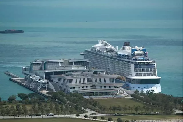 Singapore remains an attractive cruise hub despite Dream Cruises' business woes: Alvin Tan