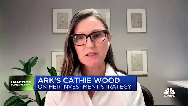 Cathie Wood says her innovation stocks are 'way undervalued' and recent fund losses temporary