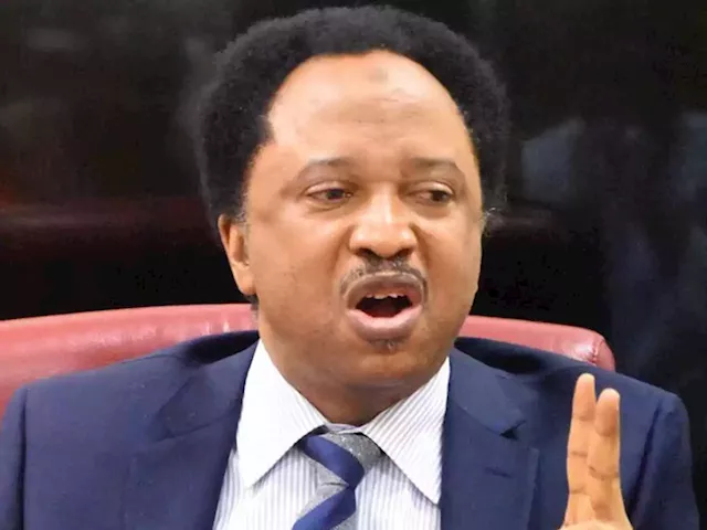 Shehu Sani reacts to killing of eight traders in Abia cattle market, tasks govt