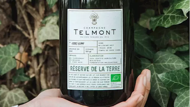 Champagne Telmont receives investment from Leonardo DiCaprio