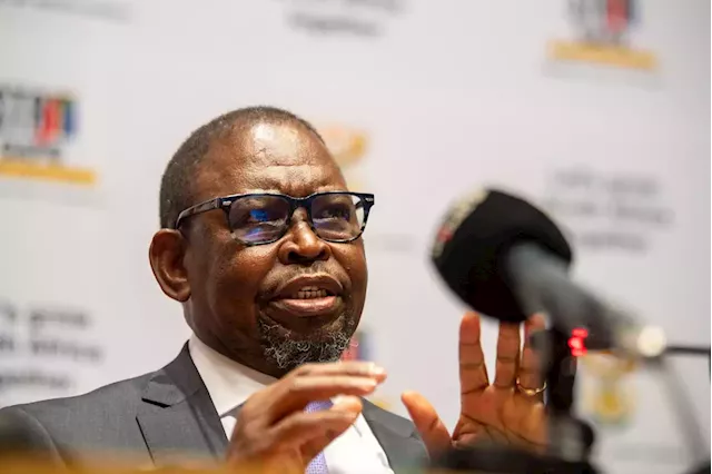 BUDGET WRAP | 'Boring but responsible' - finance minister gets thumbs-up from economists | Fin24