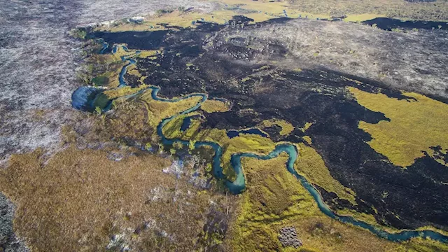 Canadian oil company illegally bulldozes protected land in Africa