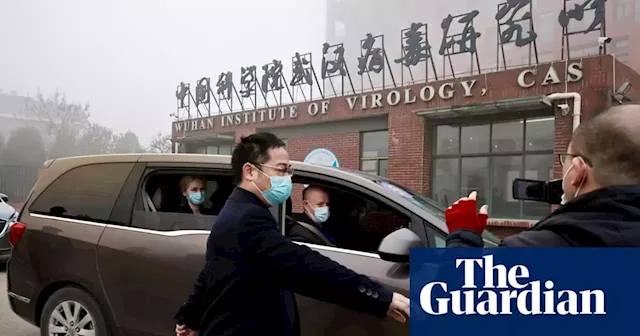 Coronavirus came from Wuhan market and not Chinese lab, twin studies say