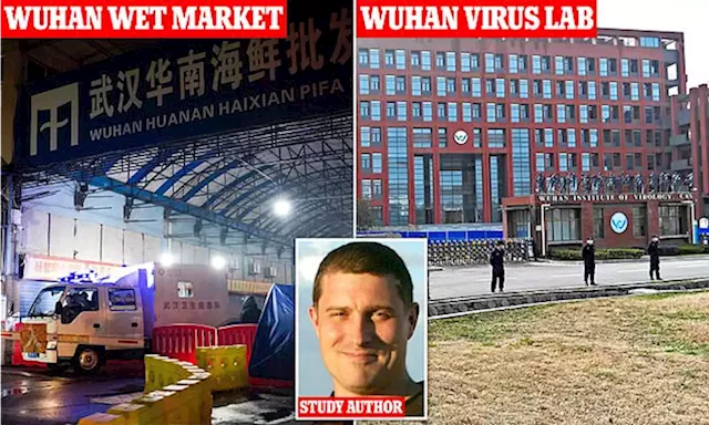 New studies show Covid pandemic 'originated from Wuhan seafood market'