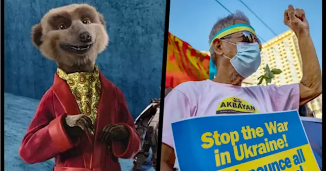 Compare The Market removes meerkat ads from TV following invasion of Ukraine | JOE.ie