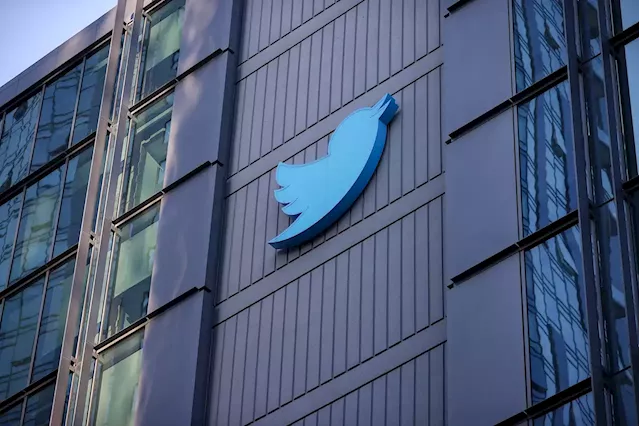 A Downvote Button on Twitter? Company Begins Global Test of New Feature