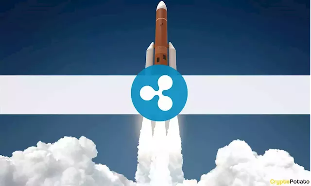 Bitcoin Touched $43K: Ripple Soars 12% to a 3-Week High (Market Watch)