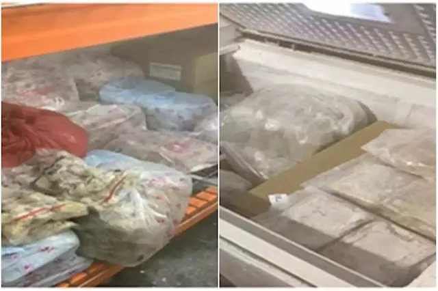 2 food companies and director fined $30,000 for illegally operating cold stores