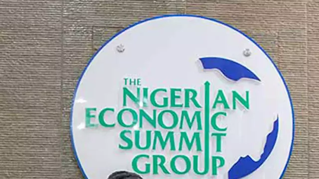 NESG picks holes in 2021 Finance Act | The Guardian Nigeria News - Nigeria and World News