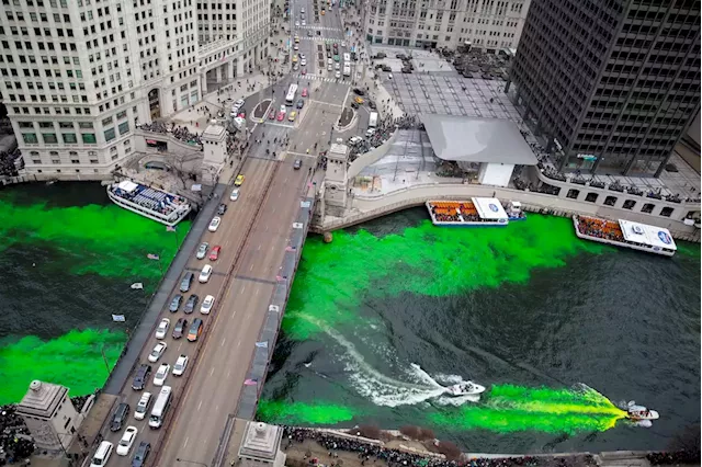 8 things to do around Chicago: St. Patrick’s Day Parade, International Women’s Day Market and National Geographic Live