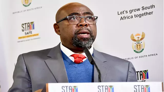 South Africans must be prioritised for job opportunities: Nxesi - SABC News - Breaking news, special reports, world, business, sport coverage of all South African current events. Africa's news leader.