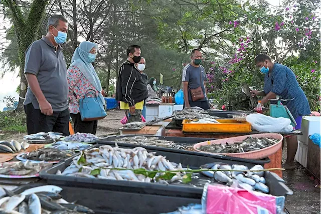 Orang Asli market reels them in with cheap seafood