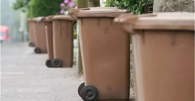 Brown bins for food waste could get a nationwide rollout | Business Post