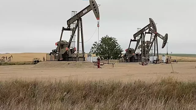 Dems push plan to tax oil companies' profits, send checks to Americans during Russia-Ukraine price spike