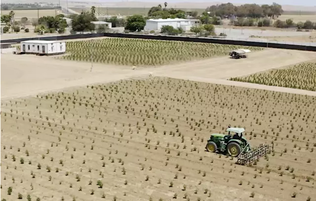 Cannabis company confronts history of war on drugs by growing marijuana inside a prison