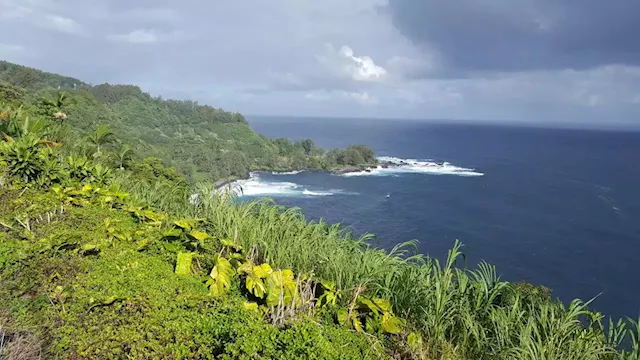 Court Case In Hawaii Against Fossil Fuel Companies Passes Major Milestone