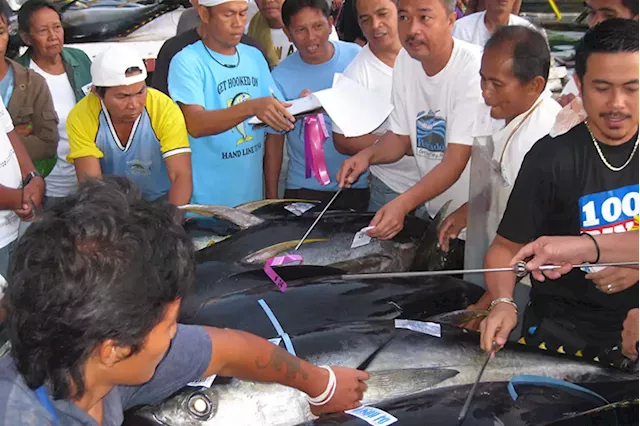 GenSan’s tuna industry hurt by fuel price hikes