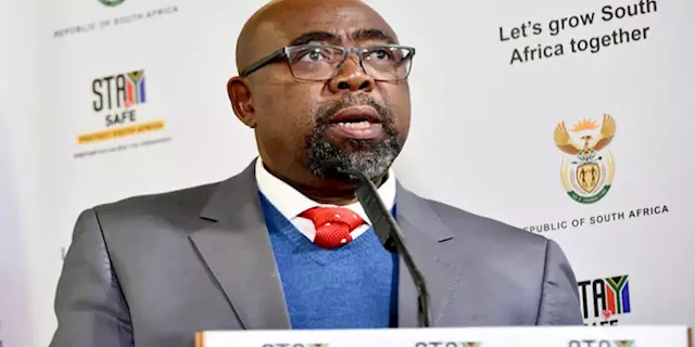 Nxesi addresses shop stewards on proposed Labour Migration Act - SABC News - Breaking news, special reports, world, business, sport coverage of all South African current events. Africa's news leader.