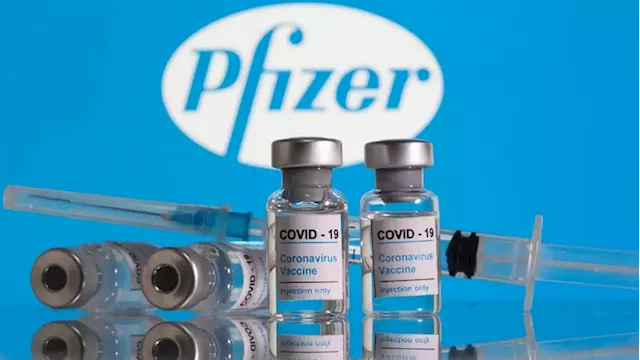 Sahpra probes FDA's data on Pfizer vaccine side effects - SABC News - Breaking news, special reports, world, business, sport coverage of all South African current events. Africa's news leader.