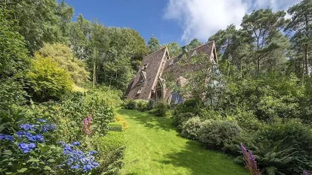 Inside this unique woodland eco house in Cork on the market for €750,000