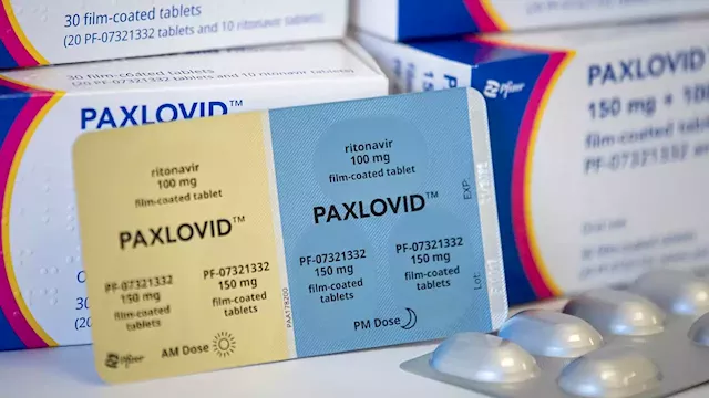 Pfizer COVID antiviral: Dozens of companies to start making pill