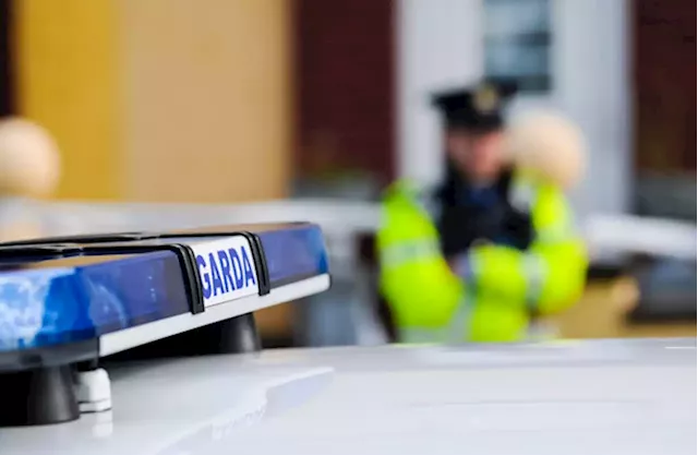 Man (30s) due in court over armed robbery of business premises in Dublin