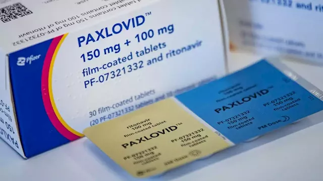 More than 30 companies to produce generic version of Pfizer's COVID pill