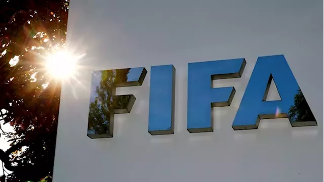 FIFA allocates $1 mln for humanitarian aid in Ukraine - SABC News - Breaking news, special reports, world, business, sport coverage of all South African current events. Africa's news leader.