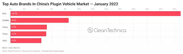 The Rise & Rise of the Chinese EV Market — 17% Market Share in January