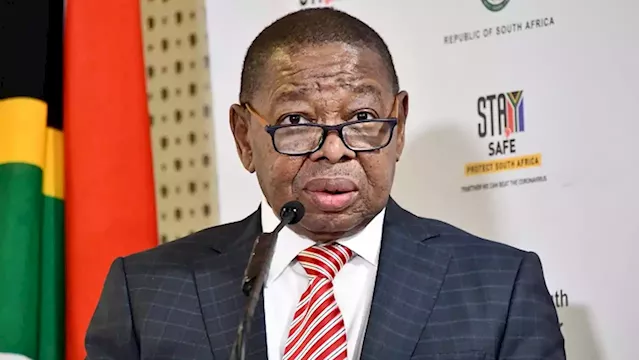 About R47 billion set aside for NSFAS: Nzimande - SABC News - Breaking news, special reports, world, business, sport coverage of all South African current events. Africa's news leader.