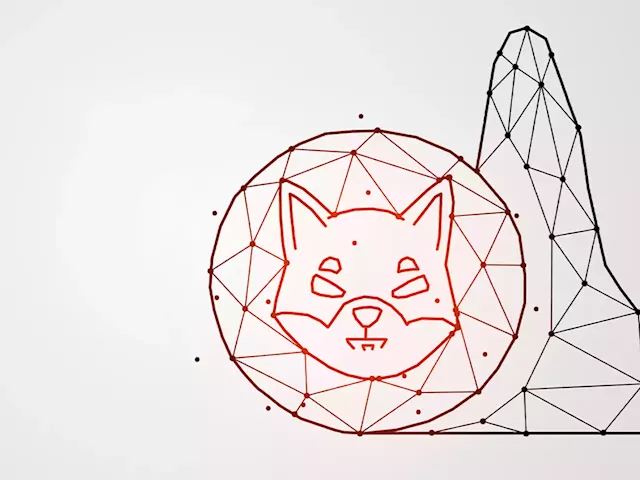 Shiba Inu Smart Contract Usage Increases by 600% as Cryptocurrency Market Recovers