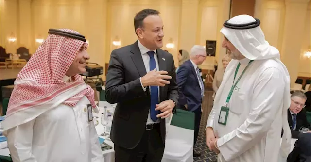 No record of Varadkar raising human rights concerns with Saudi officials during visit | Business Post