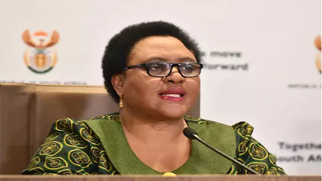 No need for panic buying in wake of Russia-Ukraine conflict: Minister Didiza - SABC News - Breaking news, special reports, world, business, sport coverage of all South African current events. Africa's news leader.