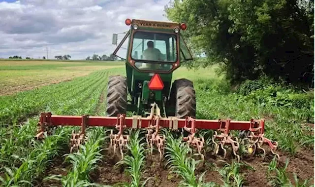 Five agribusiness investment opportunities available in Oyo State now | The Guardian Nigeria News - Nigeria and World News