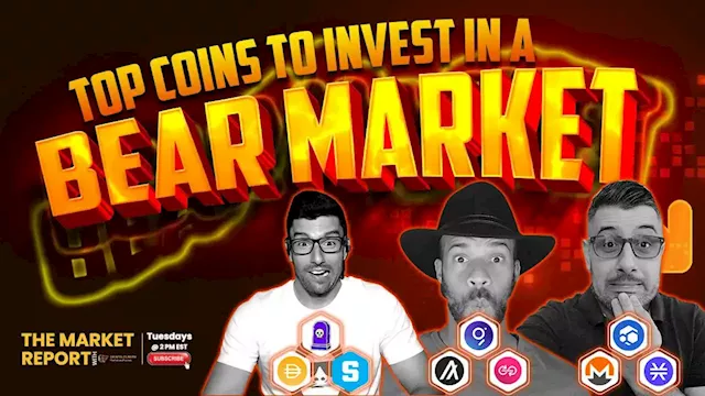 Top coins to buy in a bear market | The Market Report