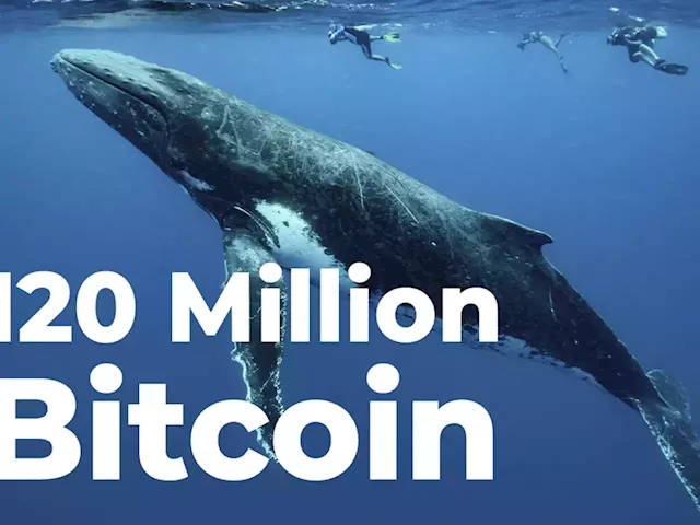 Anonymous Whale Suddenly Closes 120 Million Bitcoin Short on Market