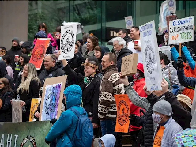 B.C. logging company won't dispute First Nation land claim, lawyer tells court