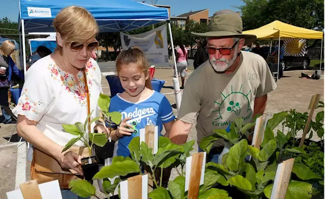 White Rock Farmers Market opens March 26 in new East Dallas location