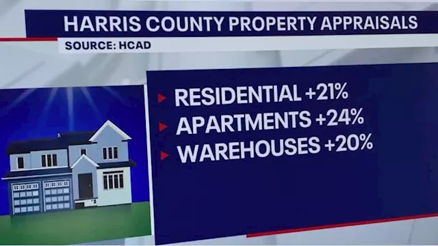 Hot housing market leads to skyrocketing property appraisals