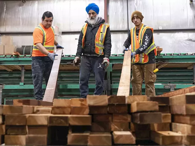 B.C. forest industry bracing for impact of old-growth timber crunch