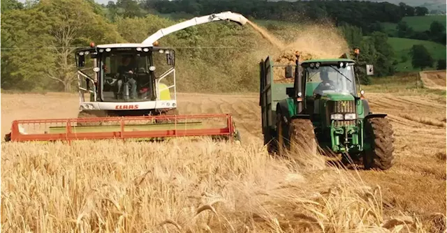 Lorcan Allen: Exhorting farmers to plant more crops won’t make much difference to food shortfall | Business Post