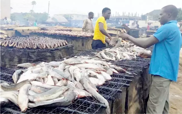 Why Nigeria’s N261.8bn catfish industry is in danger